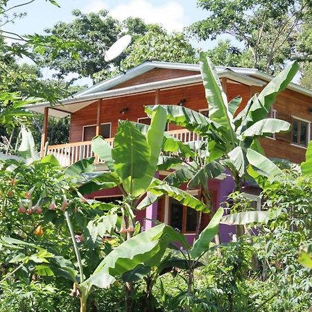 Bema Farm Villa Sao Jose Exterior photo