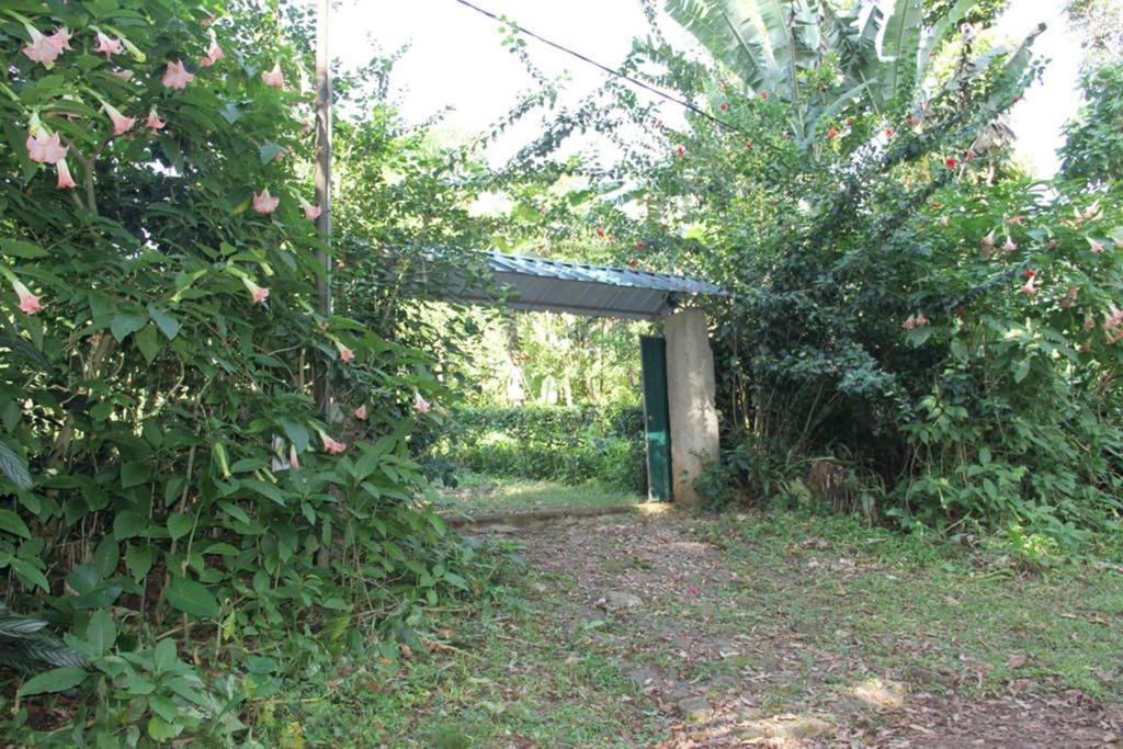 Bema Farm Villa Sao Jose Exterior photo